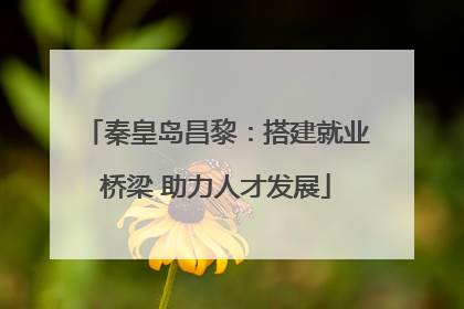 秦皇岛昌黎：搭建就业桥梁 助力人才发展