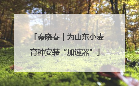 秦晓春｜为山东小麦育种安装“加速器”