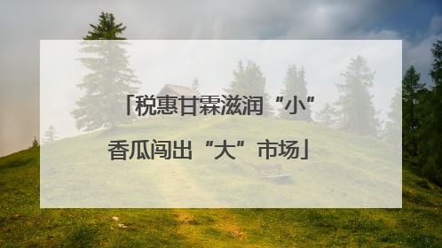 税惠甘霖滋润“小”香瓜闯出“大”市场
