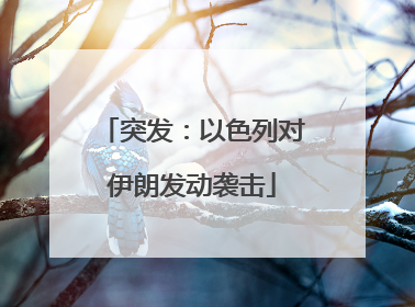 突发：以色列对伊朗发动袭击