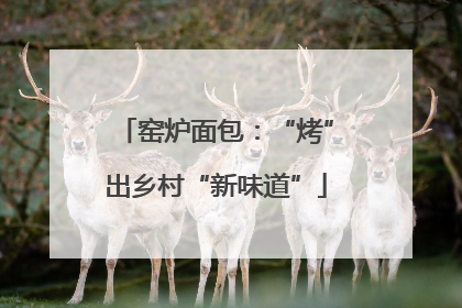 窑炉面包：“烤”出乡村“新味道”