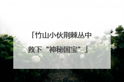 竹山小伙荆棘丛中救下“神秘国宝”