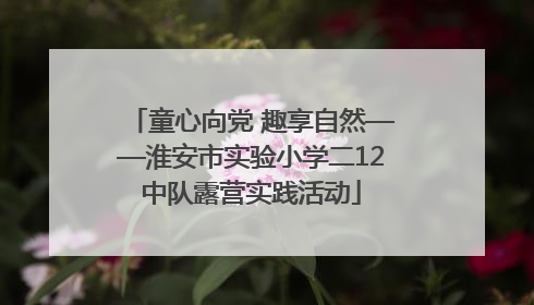 童心向党 趣享自然——淮安市实验小学二12中队露营实践活动