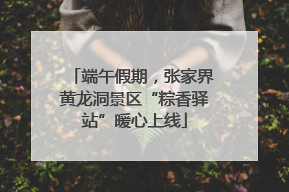 端午假期，张家界黄龙洞景区“粽香驿站”暖心上线