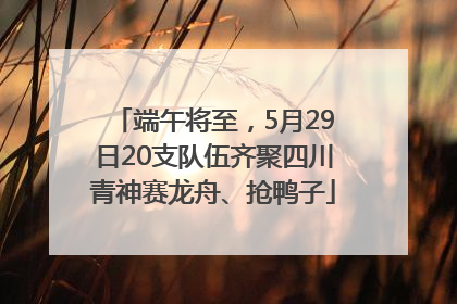 端午将至，5月29日20支队伍齐聚四川青神赛龙舟、抢鸭子