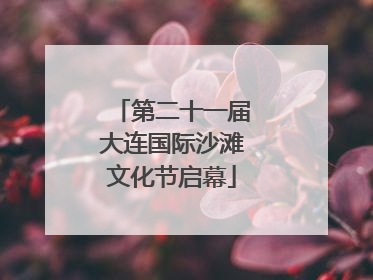 第二十一届大连国际沙滩文化节启幕