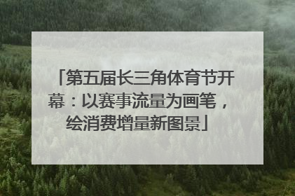 第五届长三角体育节开幕：以赛事流量为画笔，绘消费增量新图景