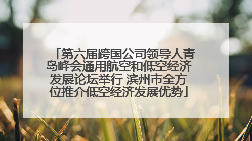 第六届跨国公司领导人青岛峰会通用航空和低空经济发展论坛举行 滨州市全方位推介低空经济发展优势