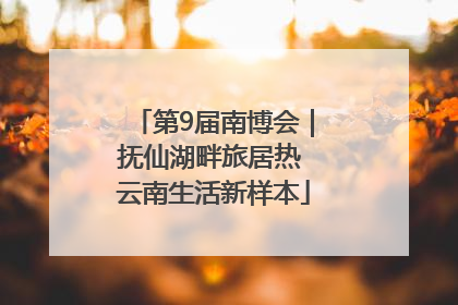 第9届南博会｜抚仙湖畔旅居热 云南生活新样本