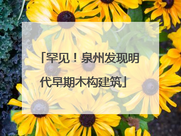 罕见！泉州发现明代早期木构建筑