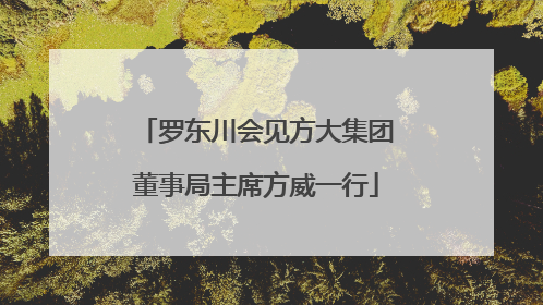 罗东川会见方大集团董事局主席方威一行