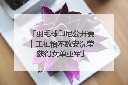 羽毛球印尼公开赛｜王祉怡不敌安洗莹 获得女单亚军