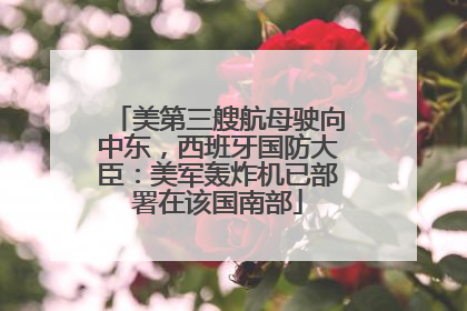 美第三艘航母驶向中东，西班牙国防大臣：美军轰炸机已部署在该国南部