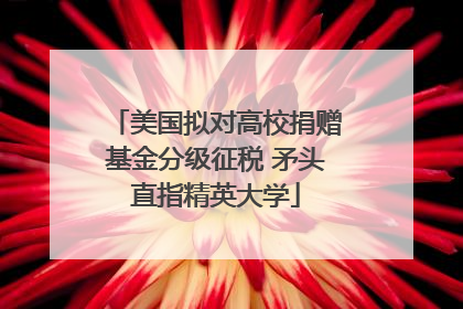 美国拟对高校捐赠基金分级征税 矛头直指精英大学