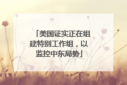 美国证实正在组建特别工作组，以监控中东局势
