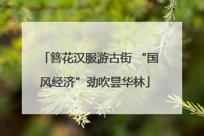 簪花汉服游古街 “国风经济”劲吹昙华林