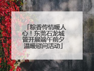 粽香传情暖人心！东莞石龙城管开展端午前夕温暖慰问活动