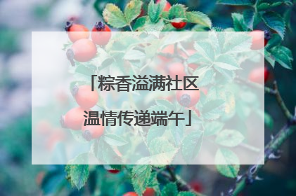 粽香溢满社区 温情传递端午