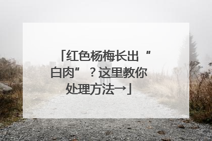 红色杨梅长出“白肉”？这里教你处理方法→