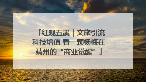 红观五溪｜文旅引流 科技增值 看一颗杨梅在靖州的“商业觉醒”