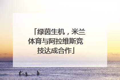 绿茵生机，米兰体育与阿拉维斯竞技达成合作
