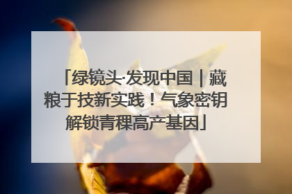 绿镜头·发现中国｜藏粮于技新实践！气象密钥解锁青稞高产基因