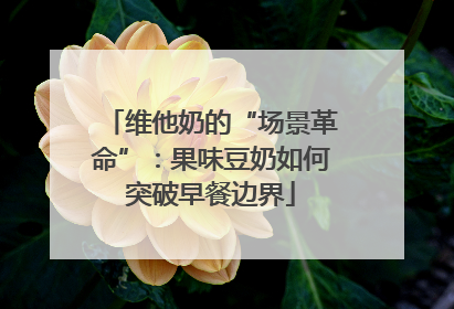 维他奶的“场景革命”：果味豆奶如何突破早餐边界