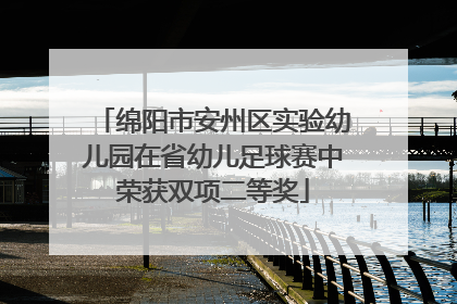 绵阳市安州区实验幼儿园在省幼儿足球赛中荣获双项二等奖