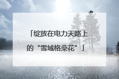 绽放在电力天路上的“雪域格桑花”