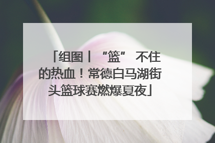 组图丨“篮” 不住的热血！常德白马湖街头篮球赛燃爆夏夜