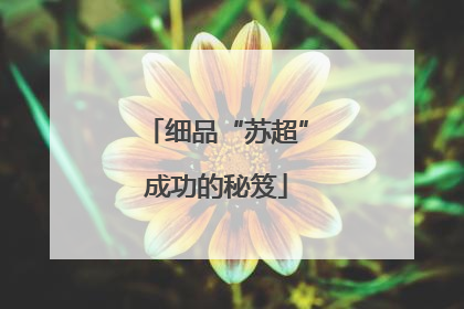 细品“苏超”成功的秘笈