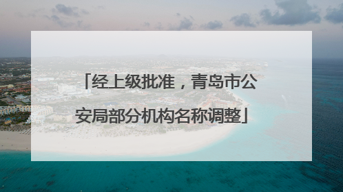 经上级批准，青岛市公安局部分机构名称调整
