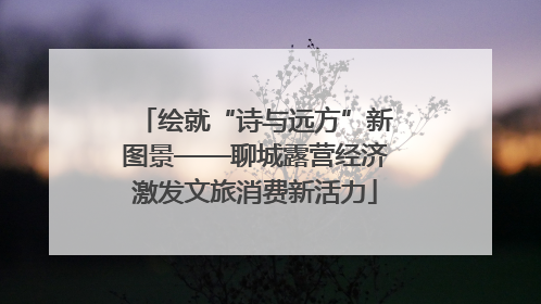 绘就“诗与远方”新图景——聊城露营经济激发文旅消费新活力