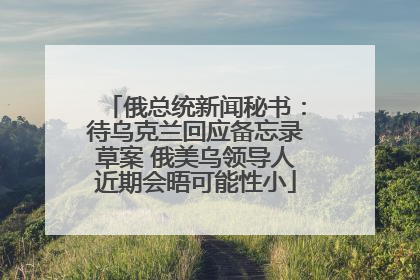 俄总统新闻秘书：待乌克兰回应备忘录草案 俄美乌领导人近期会晤可能性小