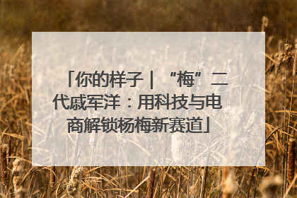 你的样子｜“梅”二代戚军洋：用科技与电商解锁杨梅新赛道
