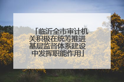 临沂全市审计机关积极在统筹推进基层监督体系建设中发挥职能作用