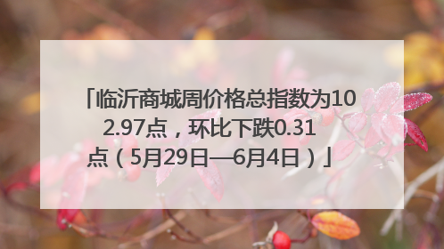 临沂商城周价格总指数为102.97点，环比下跌0.31点（5月29日—6月4日）