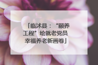 临沭县：“颐养工程”绘就老党员幸福养老新画卷