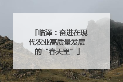 临泽：奋进在现代农业高质量发展的“春天里”