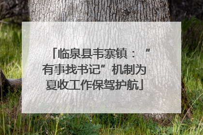 临泉县韦寨镇：“有事找书记”机制为夏收工作保驾护航