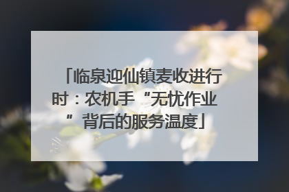 临泉迎仙镇麦收进行时：农机手“无忧作业”背后的服务温度
