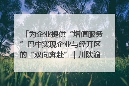 为企业提供“增值服务”巴中实现企业与经开区的“双向奔赴”｜川陕渝网络名人巴中行