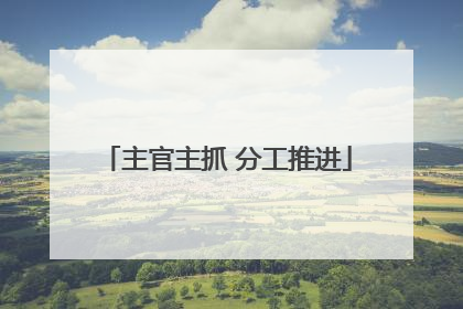 主官主抓 分工推进