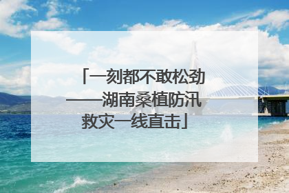 一刻都不敢松劲——湖南桑植防汛救灾一线直击