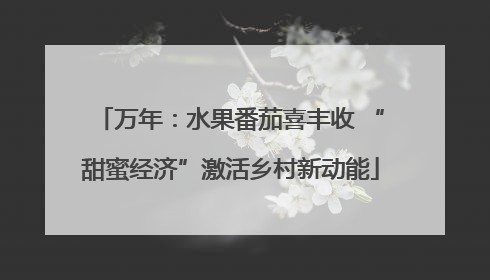 万年：水果番茄喜丰收 “甜蜜经济”激活乡村新动能