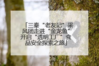 三秦“老友记”采风团走进“金龙鱼”开启“透明工厂”食品安全探索之旅