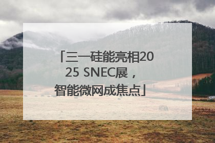 三一硅能亮相2025 SNEC展，智能微网成焦点