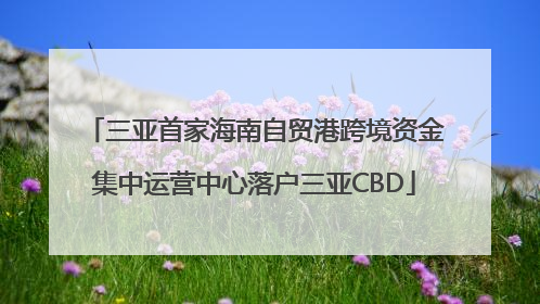 三亚首家海南自贸港跨境资金集中运营中心落户三亚CBD