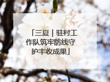 三夏｜驻村工作队筑牢防线守护丰收成果