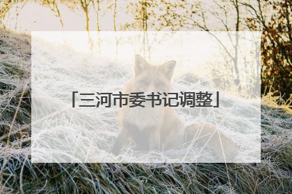 三河市委书记调整